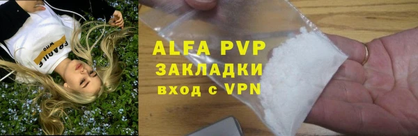индика Горнозаводск