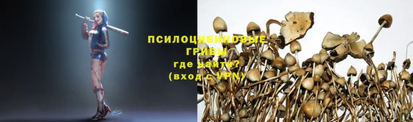 наркотики Абаза