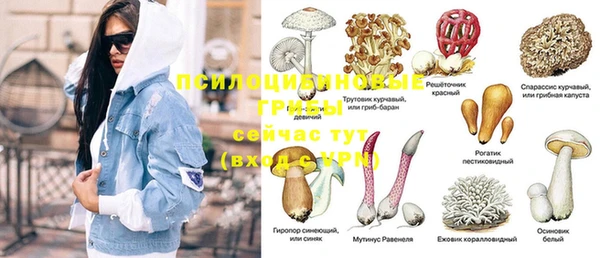 синтетический гашиш Абдулино