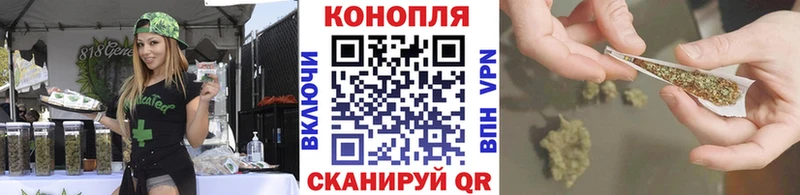 Бошки марихуана сатива Духовщина